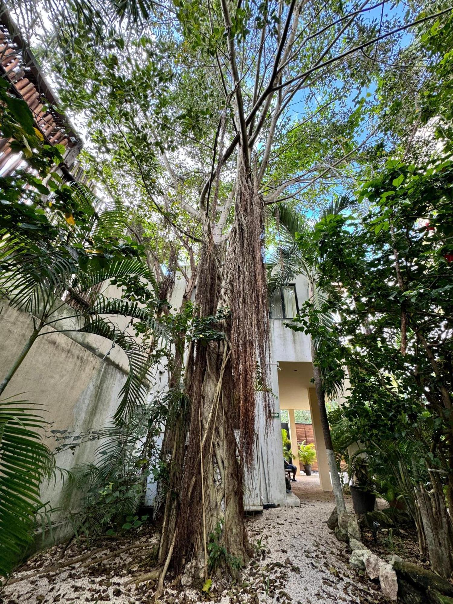 Starfit Hotel Boutique Beachclub, Spa & Gym Included Tulum Eksteriør billede